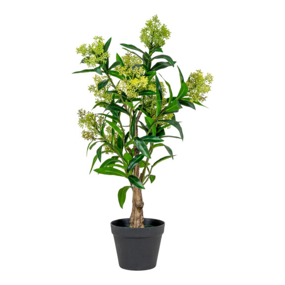 Sztuczne drzewo Skimmia 75cm